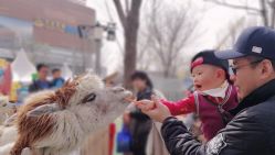 -萌宠亲子动物乐园(槐房万达店)