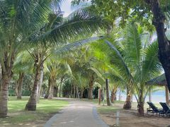 -三亚海棠湾万丽度假酒店