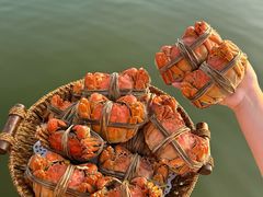 -七的湖·江南蟹舫·阳澄湖农家菜(蟹舫苑店)