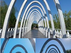 -大兴滨河森林公园