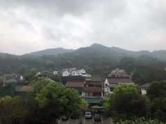-龙井村