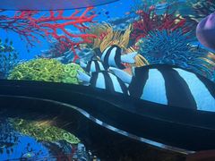 -唐宫足道·SPA·影院会馆(木渎店)