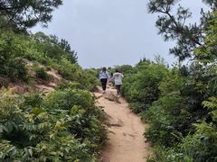 -灵岩山风景区