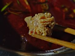 鲜鱼蛋-钟云山鲜鱼蛋