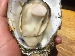 -烧蠔帮·湛江生蚝(工农店)