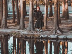 -上海共青森林公园