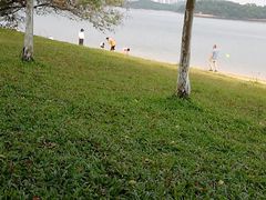 -松山湖南湖湾露营营地