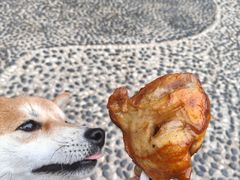 -丽都DELICATESSEN熟食店