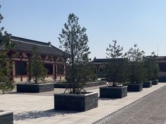 -洛阳古墓博物馆