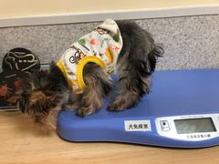 -谐和贝康宠物医院24小时·宠保定点(急重症转诊中心)