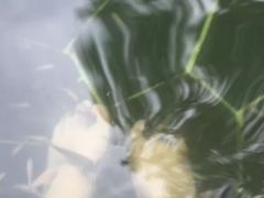 -海兰云天度假区温泉