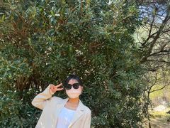 -苍山感通索道