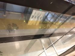 -大连市妇女儿童医疗中心(希望广场儿童院区)
