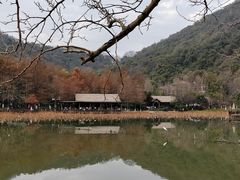 -八卦田遗址公园