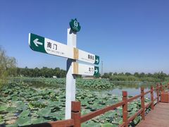 -白洋淀景区
