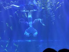 -华夏文旅海洋公园