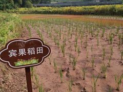 -宾果蒙特梭利托育儿童之家幼儿园(爱琴海店)