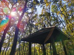 -紫金山山顶公园
