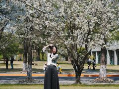 -同济大学(嘉定校区)