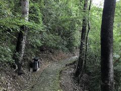 -百丈飞瀑