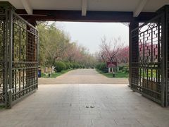 -上海海湾国家森林公园