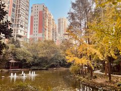 -世纪同乐绿地世纪城二期