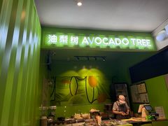 -油梨树AVOCADO TREE(顺义新国展店)