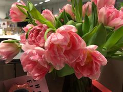 -VENCHI 闻绮(北京国贸商城店)