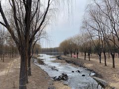 -东坝千亩湖公园