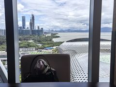 -小南洋海景餐厅(深圳湾店)