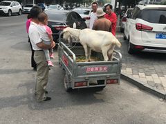 -阿甘锅盔(合生汇购物中心店)