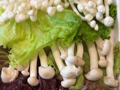 -南门四季铜锅涮肉(大屯·北苑店)