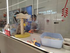 -babydoll猫舍·米努特·德文·缅因(久光中心店)