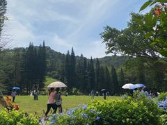 -深圳仙湖植物园