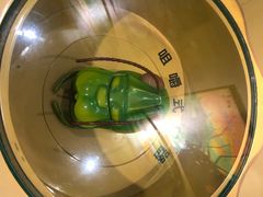 -上海昆虫博物馆