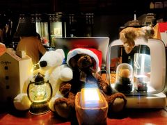 -咖法森林·咖啡  酒吧(天河店)