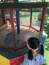 -萌宠亲子动物乐园(槐房万达店)