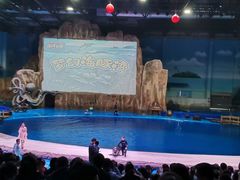 -华夏文旅海洋公园