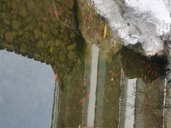 -无锡师范学校附属小学(学前街校区)