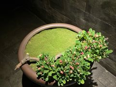 -桂语山房(满觉陇店)