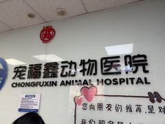 -宠福鑫动物医院(城北分院)