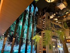 -桂满陇·海市蜃楼·黑金(国金店)