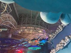 -烟台海昌鲸鲨海洋公园
