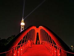 -金鸡山公园