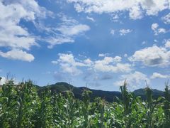 -苏尼特食府(金穗家园店)