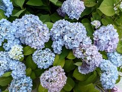 -安徽大学(龙河校区)