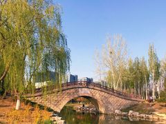 -大兴滨河森林公园