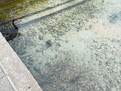 -百泉景区