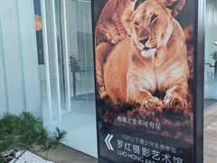 -罗红摄影艺术馆