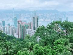 -龙城大药房